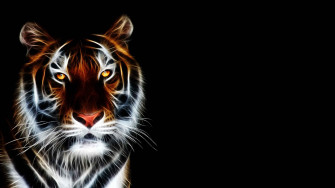 Animated Tiger Wallpaper