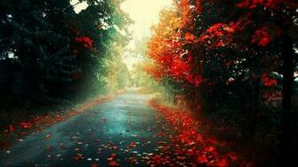 Beautiful Rain HD Wallpaper