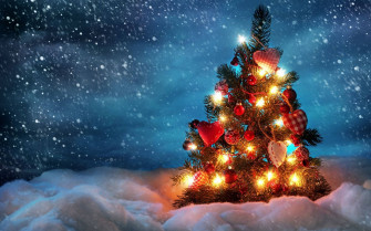 A Perfectly Lit Christmas Tree On Cold Winter S Night