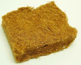 Wood Fibers