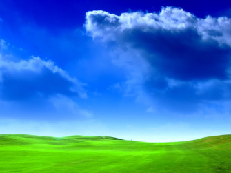 The Best Summer Wallpaper Of