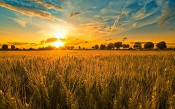 Farm Wallpaper Top Background