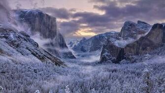 Yosemite Fog Mist Trees Mountains Landscape Forest Winter Wallpaper