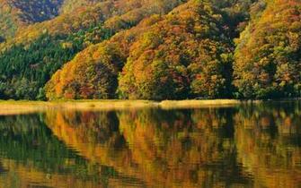 Lake Reflection Wallpaper