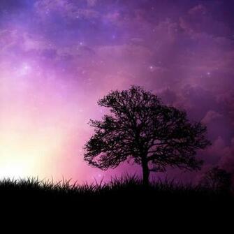 Abstract Nature Wallpaper iPad