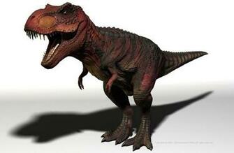 Rex Vetor