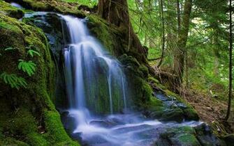 Nature Photos E1363712737962