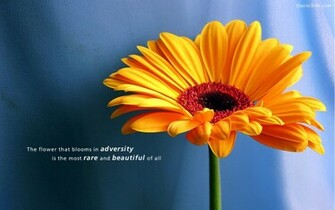 Inspirational Desktop Background