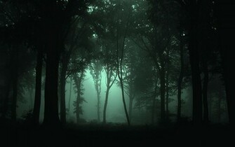 Landscapes Forest Fog Dark Wallpaper Background