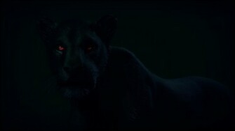 Black Leopard Red Eyes Art Beautiful Photo Background HD Wallpaper Jpg