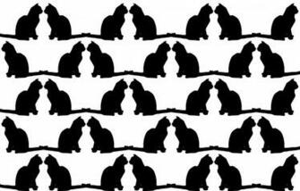 Cat Silhouette Wallpaper Stock Photo HD Public Domain Pictures