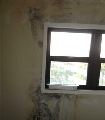Sci Southern Coast Improvements Llc Mold Behind Wallpaper