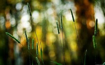 Photography Wallpaper HD Widescreen Photo Desktop Background