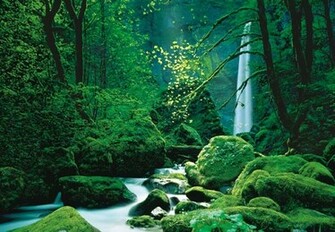 Black Forest Poster Mural Muralsdirect Co Uk Wall Murals To