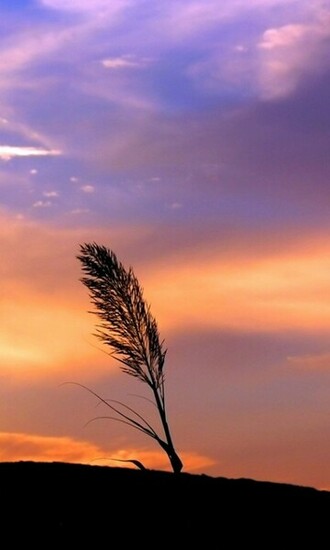 Samsung Mobile Wallpaper