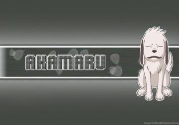 Naruto Wallpaper Kiba The Dog Boy Desktop Background