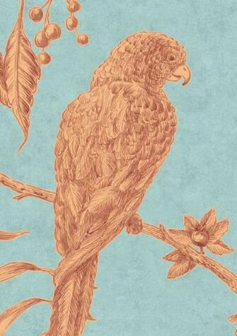 Squawk Wide Width Wallpaper