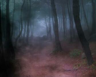 Fog Background