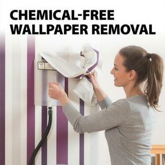 Wagner Wallpaper Steamer The Home Depot