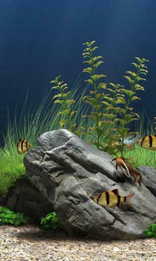 Aquarium 3d Pro Live Wallpaper App For Android