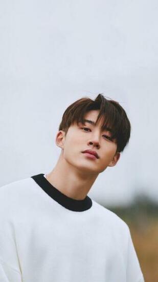 Ikon Return Digital Booklet Wallpaper