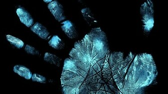 Wallpaperland Don Fringe Tv Palm Prints Desktop And Mobile Background
