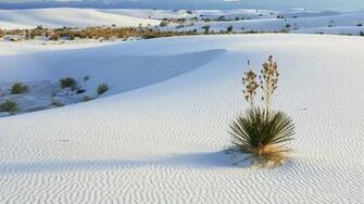 White Sand Desert Wallpaper