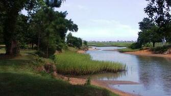 Murrells Inlet Low Tide