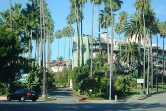 720p Wallpaper Palm Beverly Hills