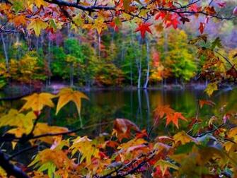 Select Set As Desktop Background Wallpaper Nature Seasons