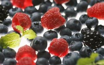 Forest Berries Wallpaper And Image Pictures Photos