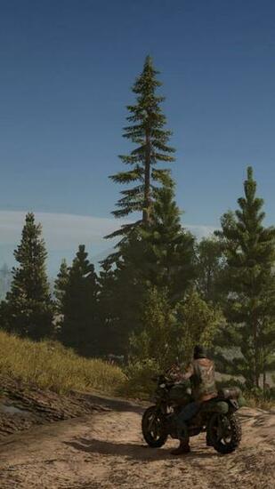 Wallpaper Days Gone Survival Horror Bike Ps Best