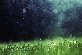 Artwork Nature Rain Grass Wallpaper HD Desktop And