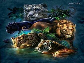 Wild Cats High Quality And Resolution Wallpaper On