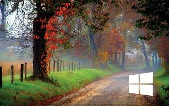 Windows White Simple Logo On A Forest Path Wallpaper Computer