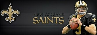 Drew Brees Roman Harper