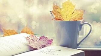 Stock Photos Of Wallpaper Open Books Image Photography