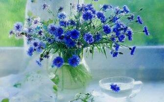Blue Dreams Wallpaper HD Pw