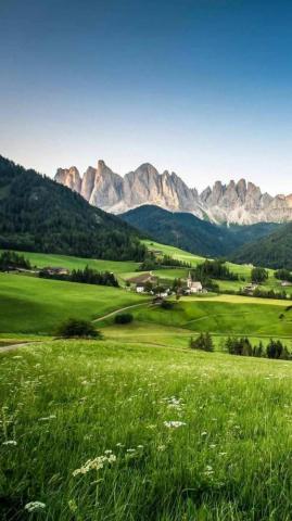 Nature Wallpaper Greenery