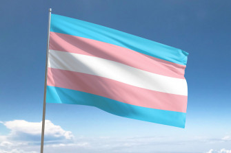 Transgender Pride Flag Wallpaper