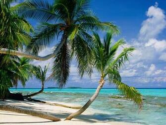 Picture Tepuka Island Tuvalu Photo Wallpaper