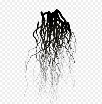 Black Veins Png Image With Transparent Background Toppng