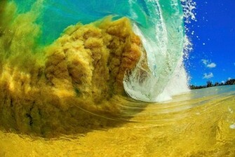 Clark Little Photography