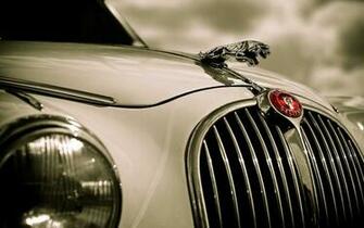 Jaguar Wallpaper
