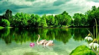 Summer Bright Lake Wallpaper