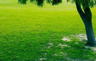 Nature Desktop Background Html Filesize 16k