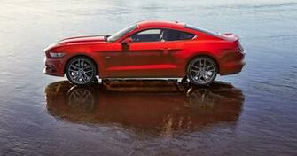 Gt Car HD Wallpaper Ford Mustang
