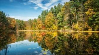 Wallpaper Trees Autumn Summer River Full HD