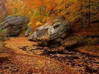 Paysages Automne