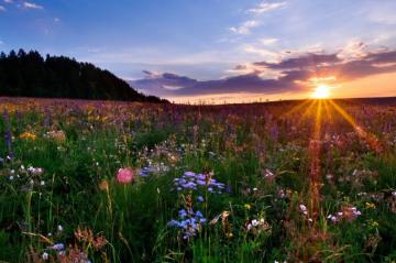 Widescreen Background Space Stock Image Tablet